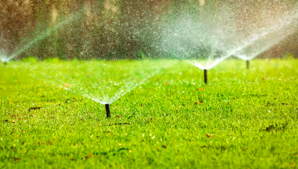 Lawn Irrigation Inspections